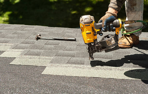 Best Roof Gutter Cleaning  in Thibodaux, LA